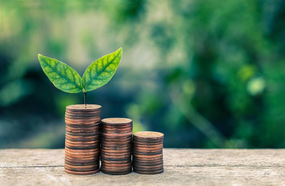 Image for "Are bioethanol fires Expensive?" Cover image with pennies.