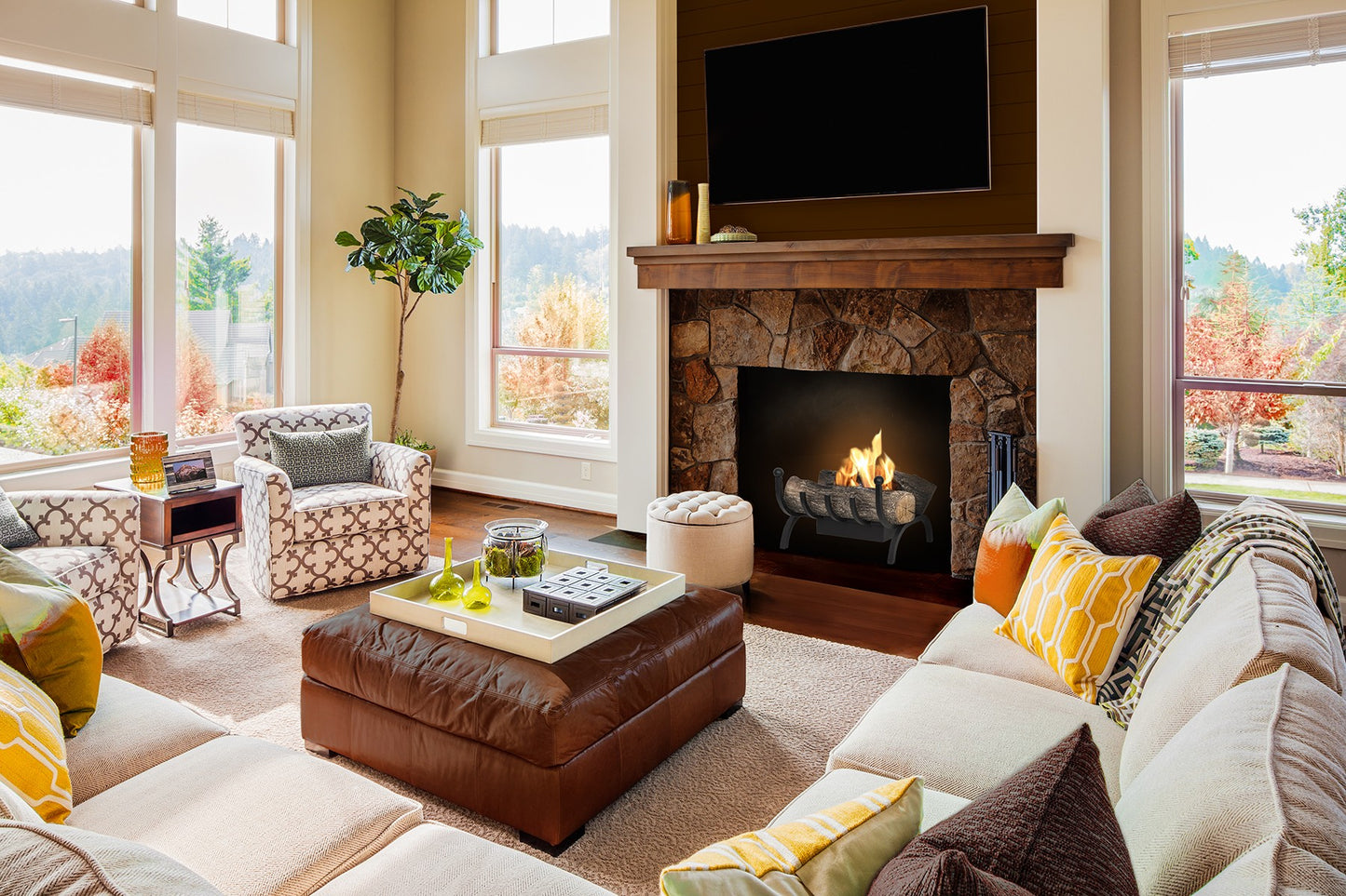 WILDWOOD Traditional Bioethanol Grate in living room with stone fireplace