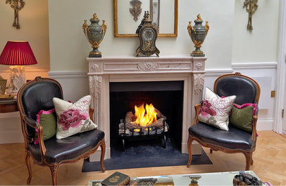 ASPEN Bioethanol Grate