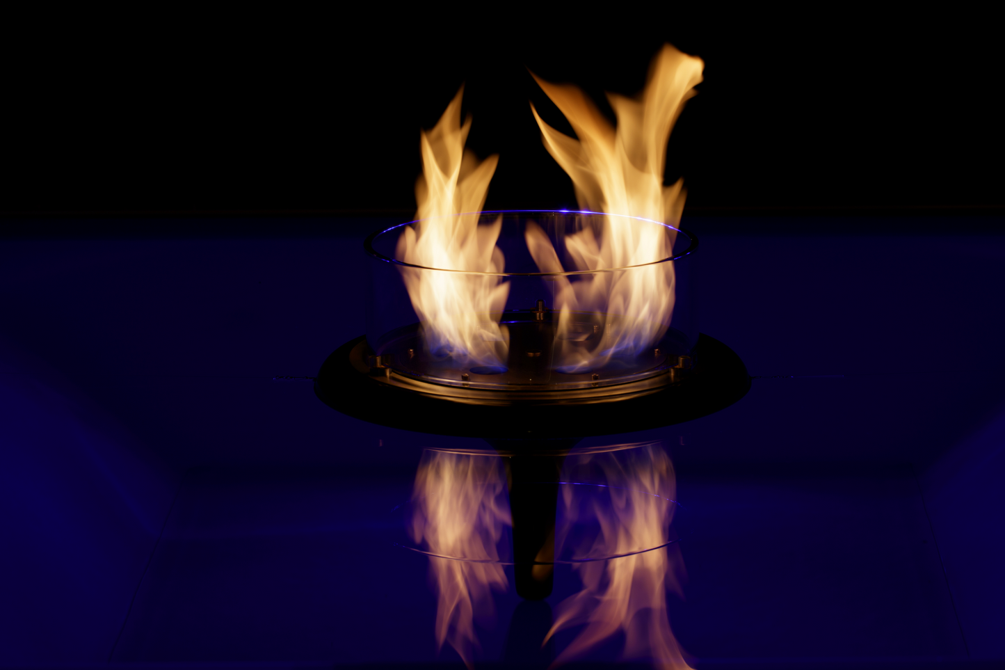 Black Flut in display pond at Glammfire showroom. Close up picture on the flame.