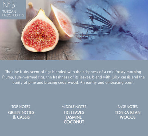 Aura No.5 - Tuscan Frosted Fig Fragrance Oil