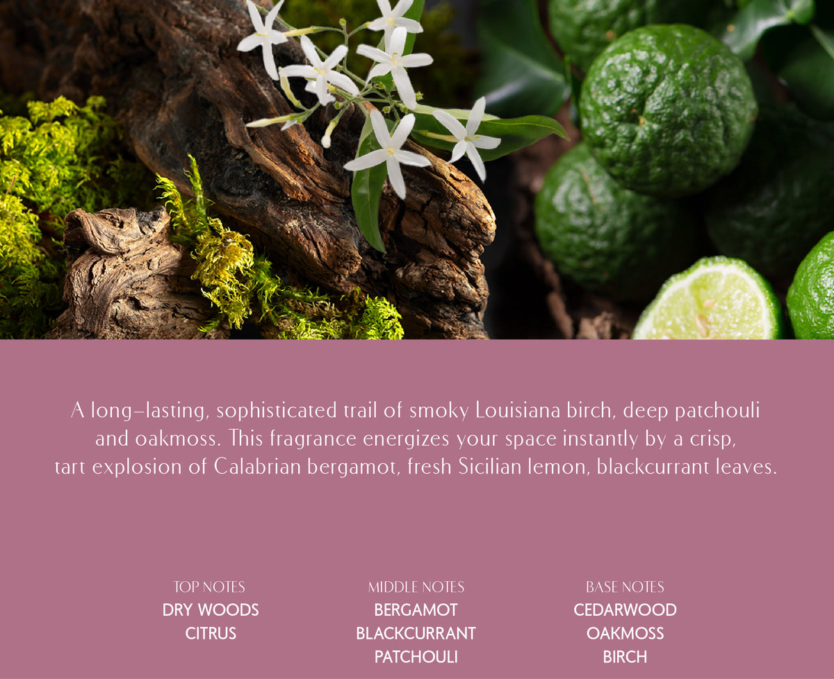 Aura No.7 – Wildwood Bergamot Dusk Fragrance Oil